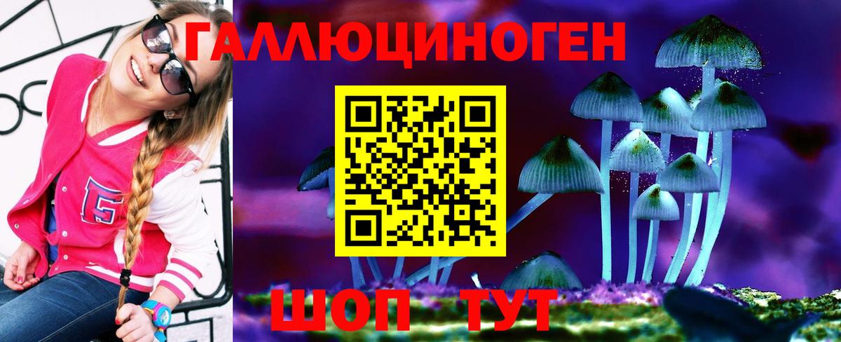 Галлюциногенные грибы Psilocybine cubensis Сатка