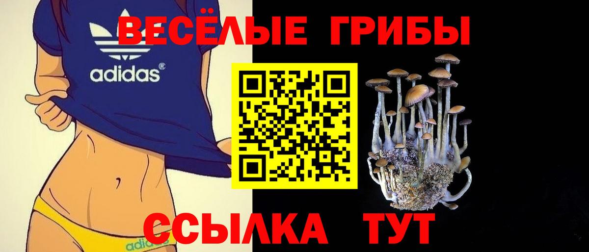 Сатка  сколько стоит  Галлюциногенные грибы Psilocybine cubensis  Вход с VPN  Галлюциногенные грибы мицелий 
